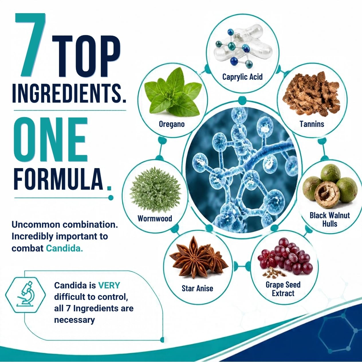 Candida Complex Oregano Oil, Digestive Enzymes, Candida Cleanse, Non-GMO Probiotic Supplement with Organic Herbs, Caprylic Acid, Grape Seed Extract, 60 Vegetarian Capsules — Amazon image 3