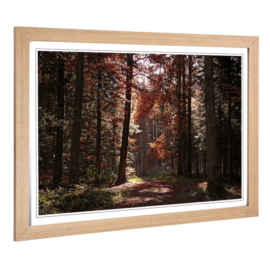 Big Box Art Framed Print of Landscape Autumn Forest Woodland Design | Wall Art Picture | Home Decor for Kitchen, Living Room, Bedroom, Hallway, Oak, A2 / 24.5x18 Inch / 62x45cm