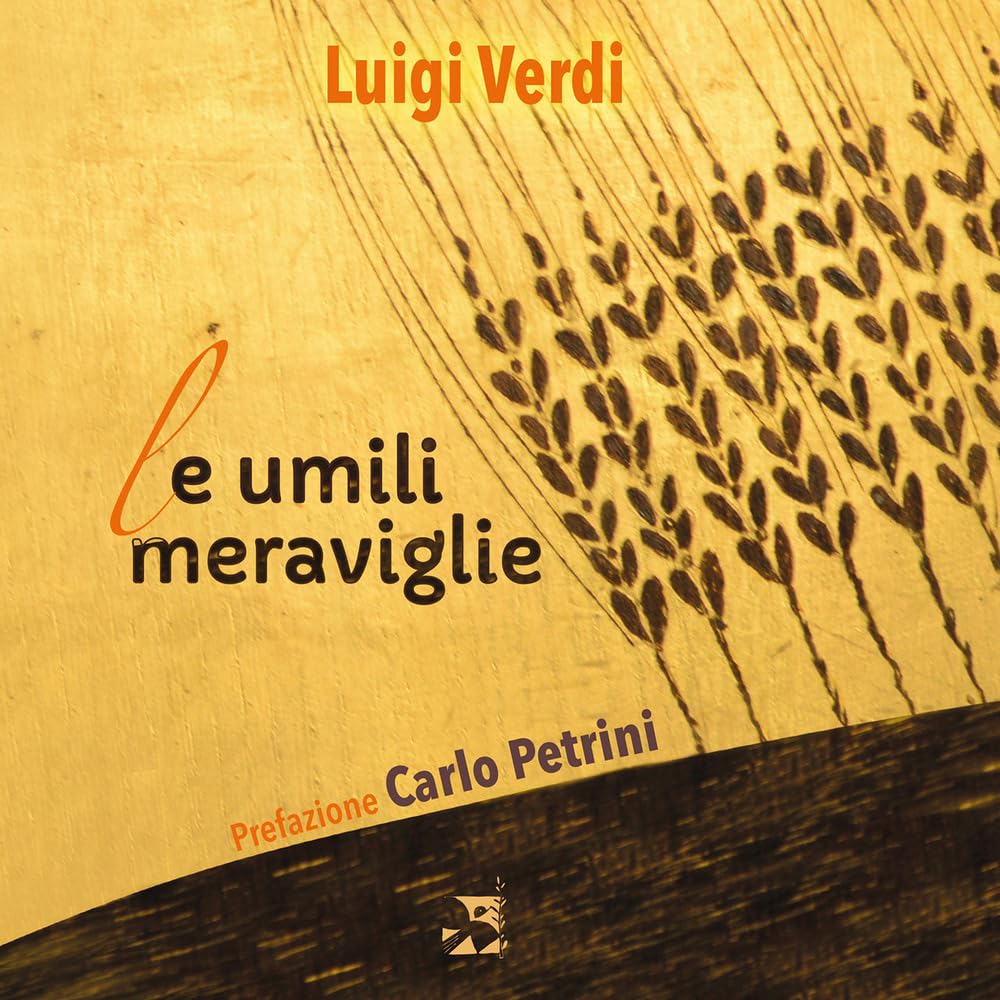 Le Umili Meraviglie - 4