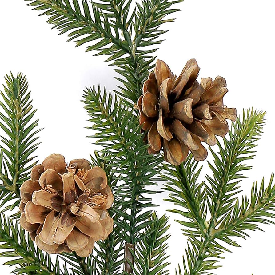 71kLrDodpyL._AC_UF894,