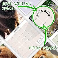 Vista 303 de Razas de Perros 2017