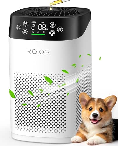 Air Purifier for Indoor Use