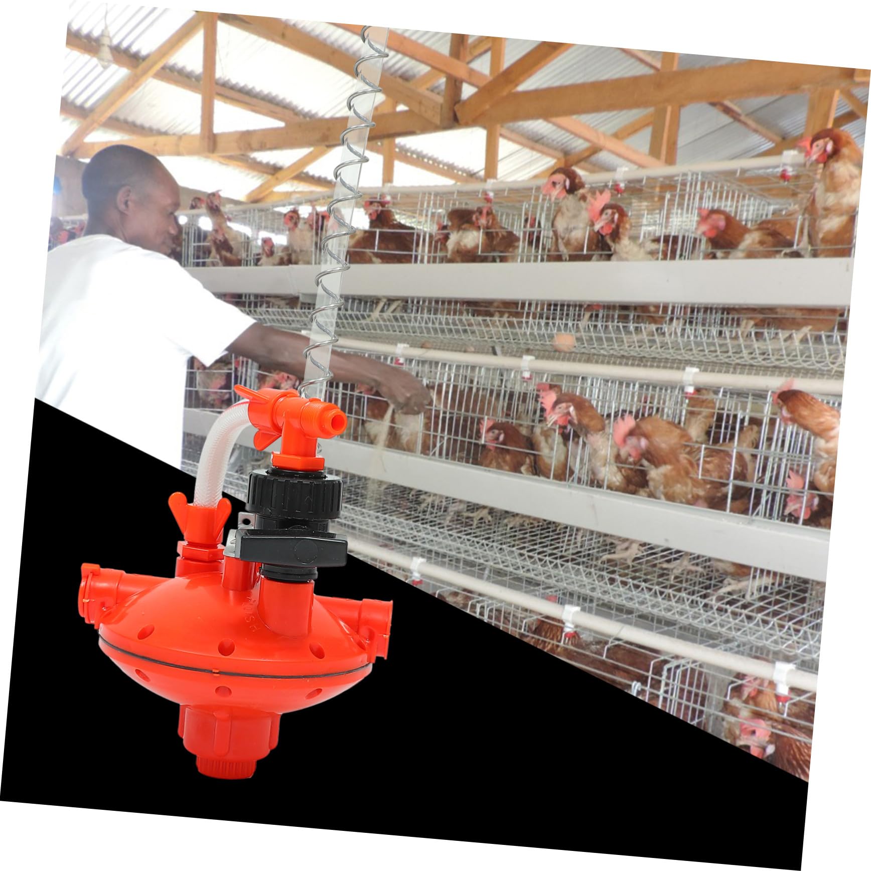 Abbeveratoio Automatico di Regolatore Galline Pressione | Plastica Rossa, 1 Pezzo, Prevenzione Perdite e Peso Ridotto, per Allevamento Avicolo