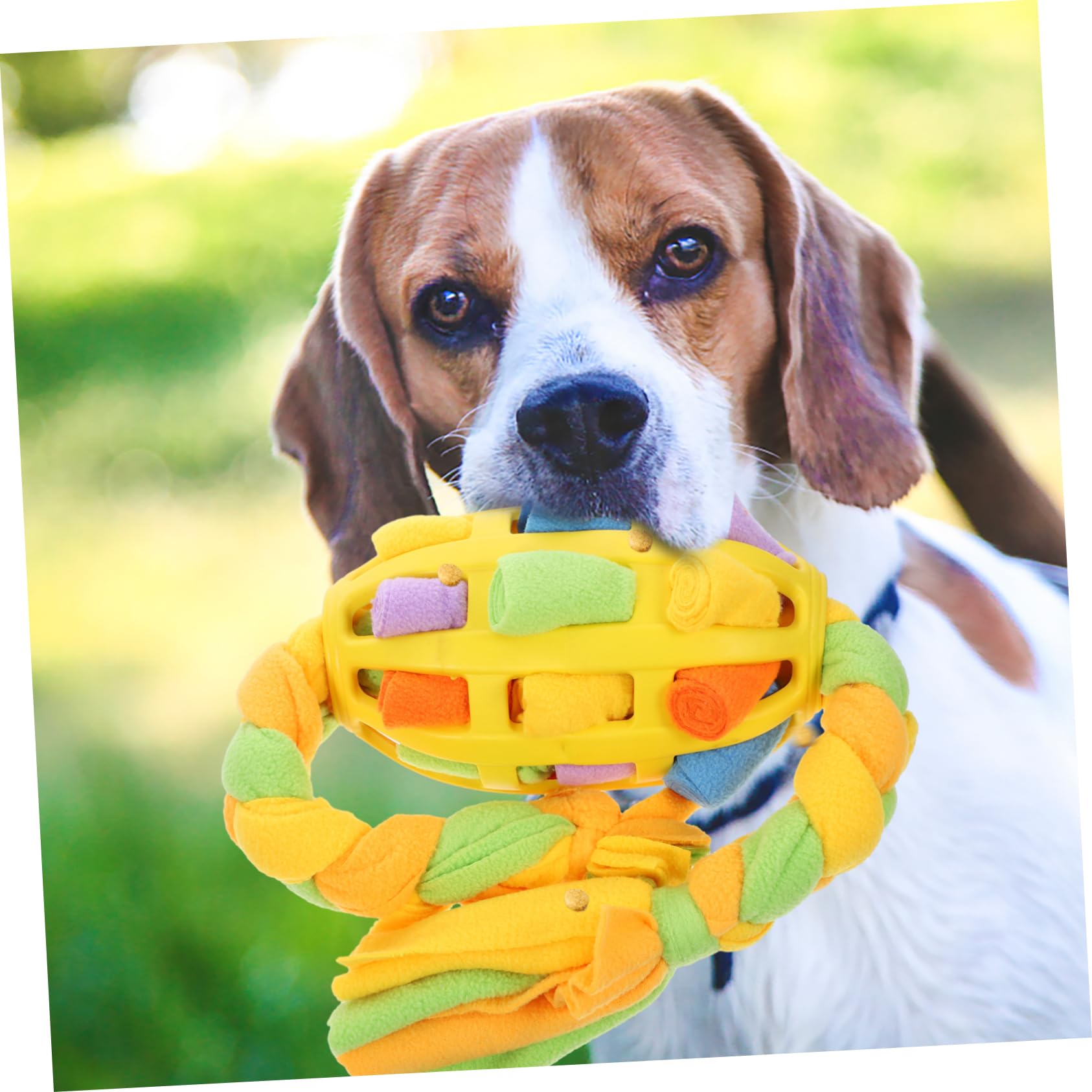 POPETPOP Lot De 4 Jouets Interactifs À Renifler pour Chien Distributeur De Nourriture pour Chiots Jouet pour Le Bien-être Mental