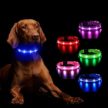 MASBRILL RGB Lighted Dog Collar - Flashing LED, Rechargeable, Water-Resistant Glow Up Night Walking Collar for Small to Large Dogs