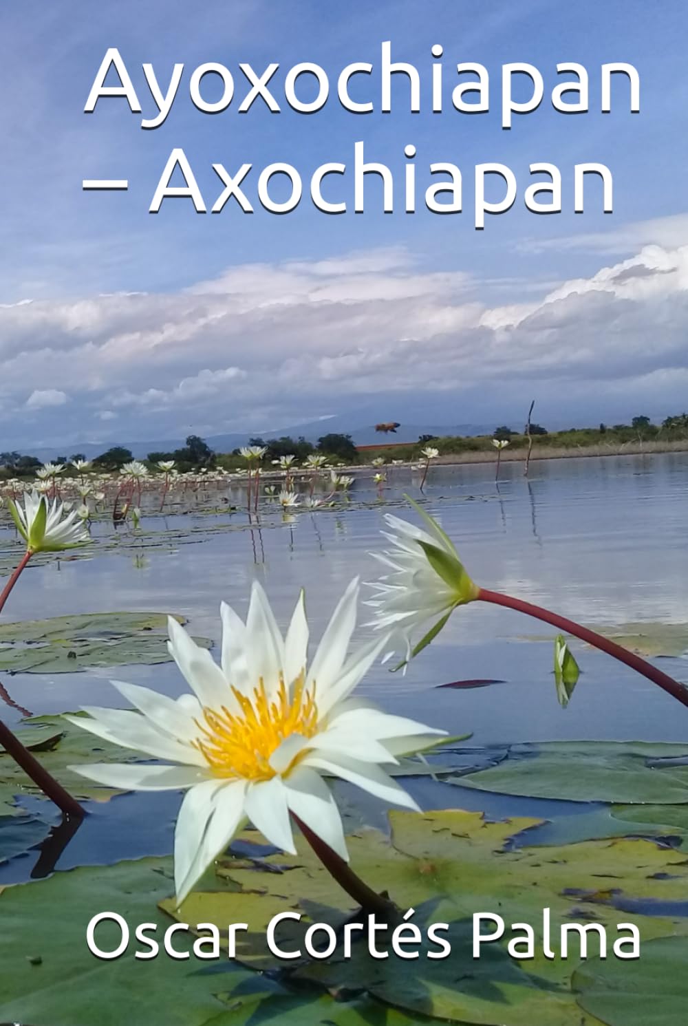 Ayoxochiapan – Axochiapan: Recopilación histórica y cultural