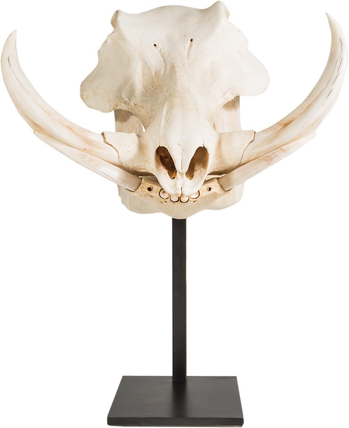 Grande Euro Mount Table Stand