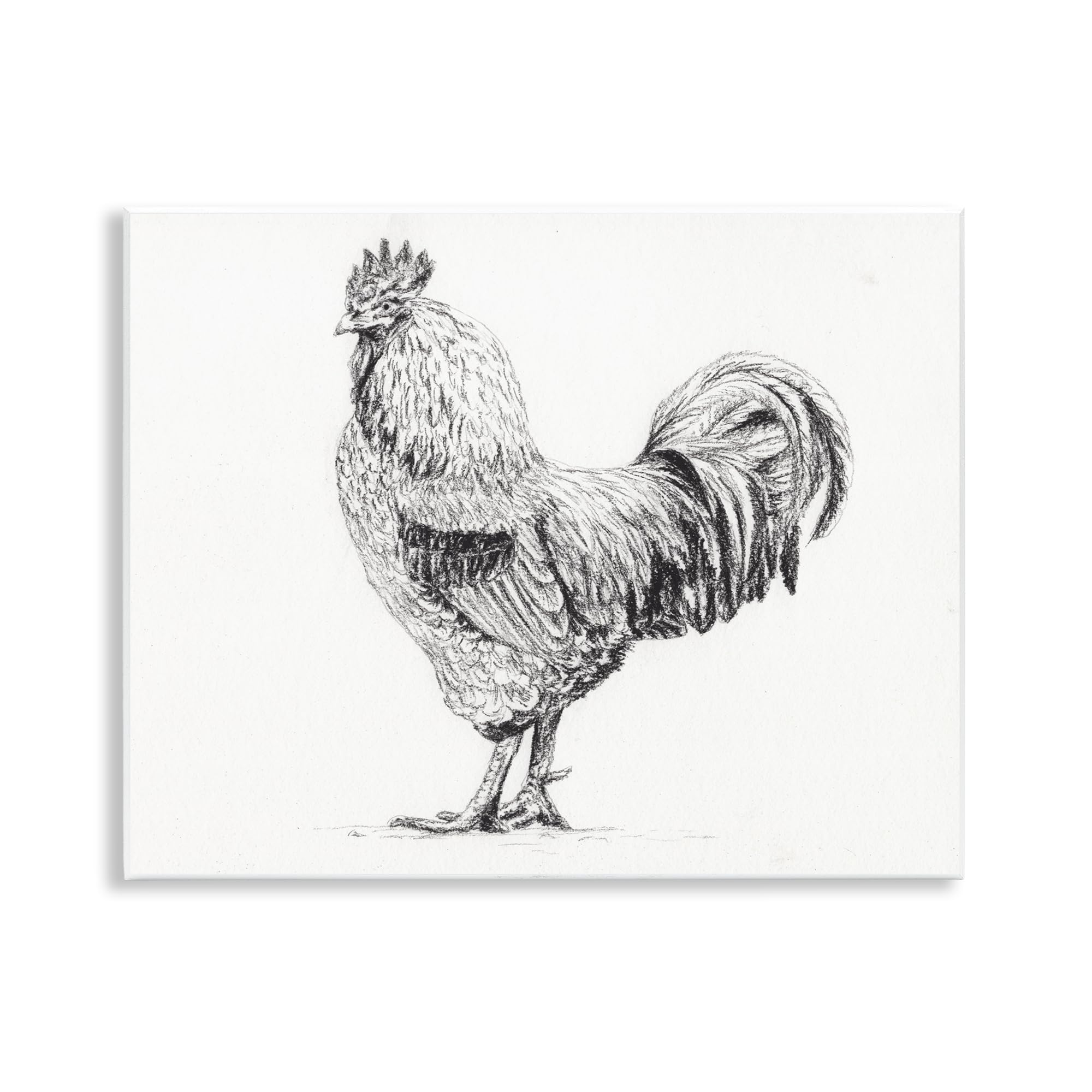 Stupell Industries 'Rooster in Charcoal', Wall Plaque Art, 14 x 11 Inches, Easy to Hang and Sturdy, Made in USA, by Leah Noel Art