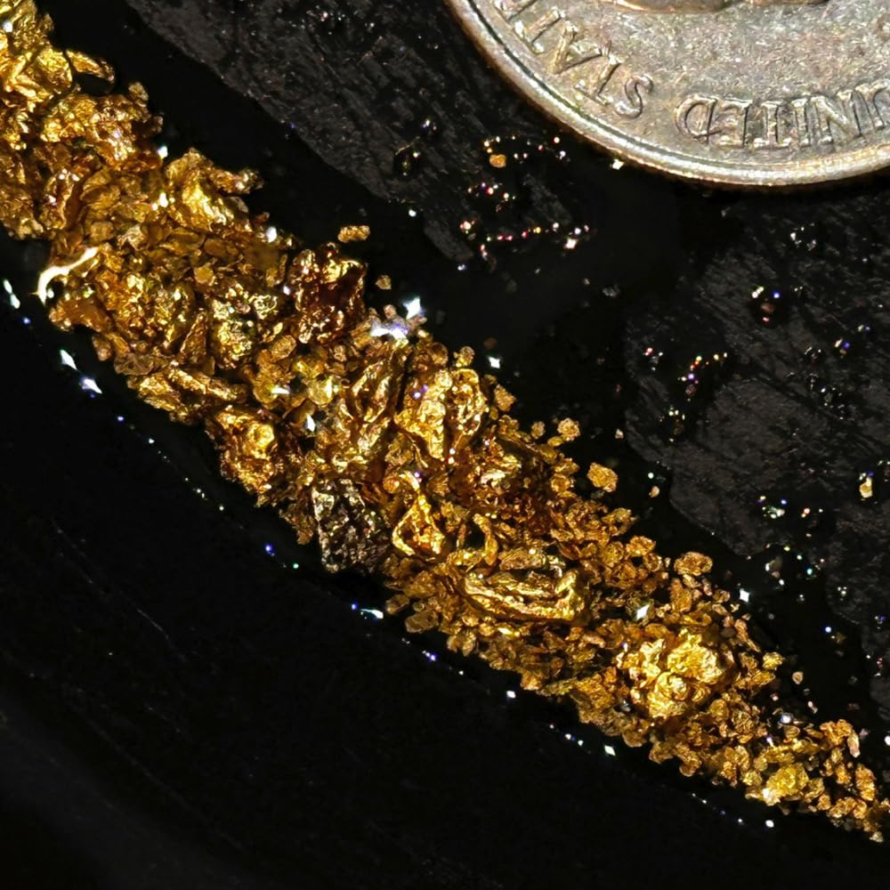 Gold Paydirt - Concentrados Gold Rush Panning de Gold Rush