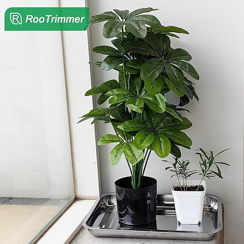 Miniatura 7 de Bandejas de metal inoxidable, bandeja de transporte de semillas de acero inoxidable para bandeja de enchufe de 54 celdas, macetas de plántulas de