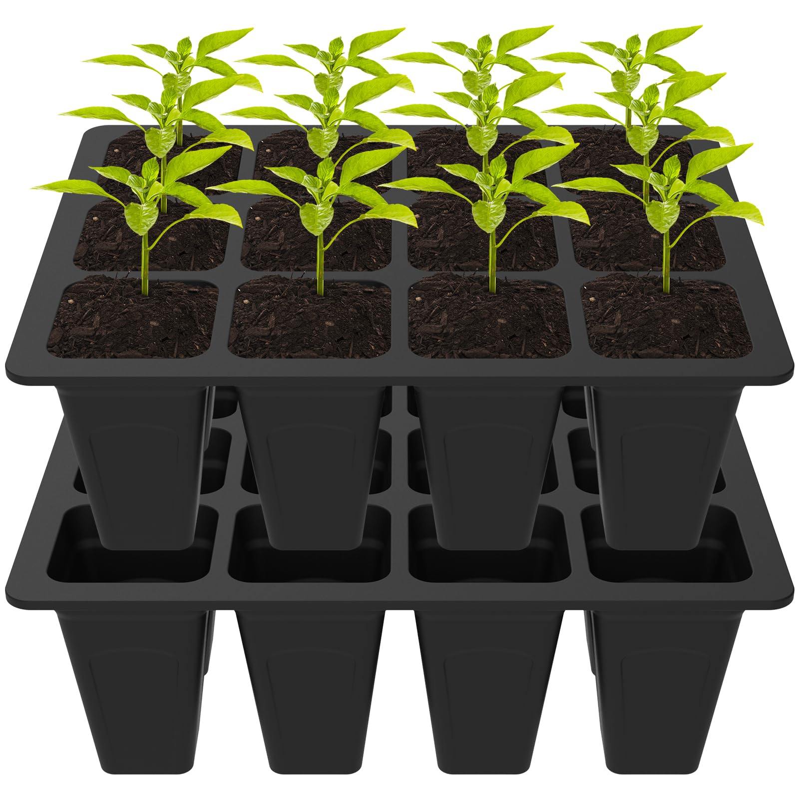 2 Pack Seed Starting Tray Silicone Seed Starter Tray with Drain Holes Reusable Seedling Starter Tray 12 Cell Seedling Trays Gardening Germination Seed Starter Kits for Seeds(2PCS,Black)