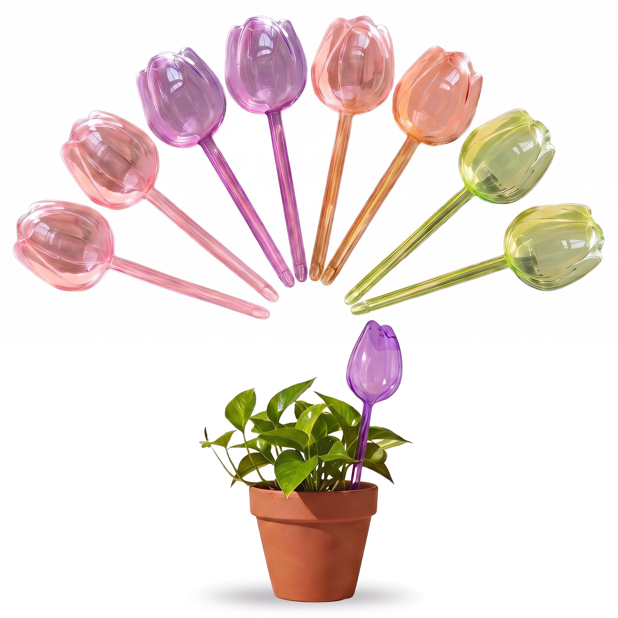 Plant Watering Globes 8 Pack, Self Watering Bulbs for Indoor Outdoor Plants