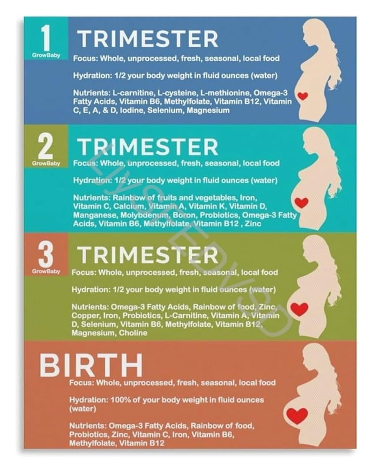 ZDVHOMCB Pregnancy Nutrition and Hydration Guide Poster by Trimester for Expecting Mothers Prenatal Health Wall-Art Unframed,16x24inch(40x60cm)