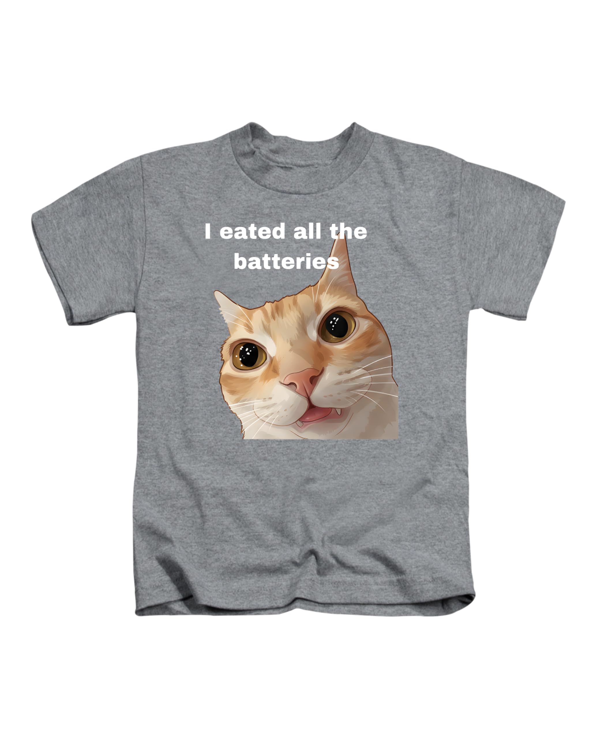Taylor Brown Orange cat Meme i easted All, Fun Silly Weird Strange Humerous cat Joke Novelty Tee T-Shirt Funny Unisex T Shirt Top