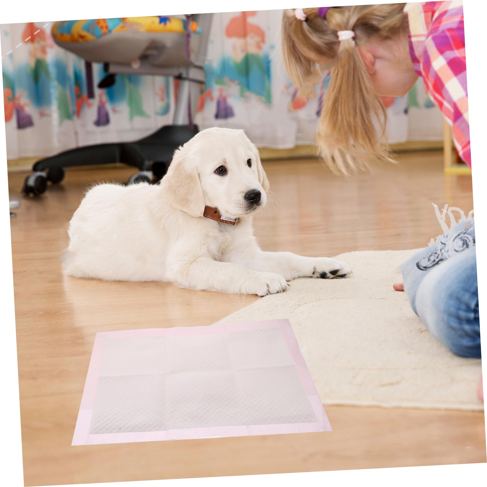 Tappetini Assorbenti Riutilizzabile Per L'igiene Degli Animali Domestici Confezione Da 100 Ultra Assorbenti Per L'addestramento Di Cani E Gatti
