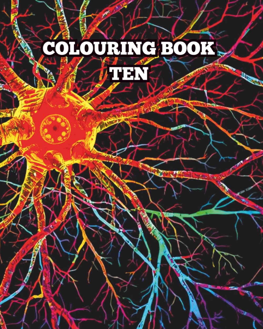 COLOURING BOOK TEN (PICTURE COLOURING BOOKS)