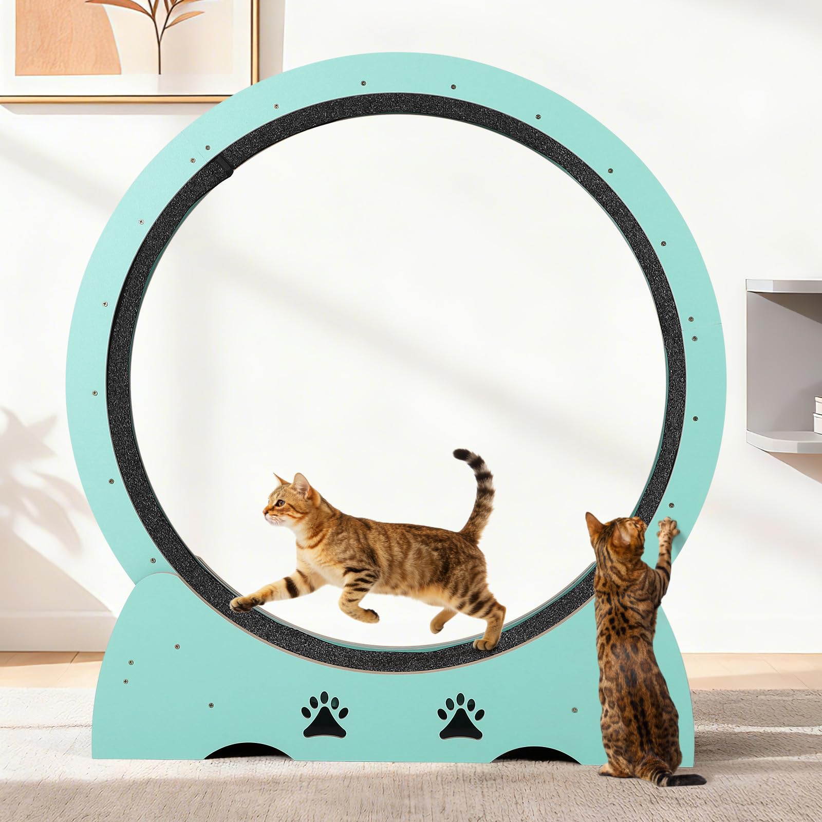 Katzenlaufrad Extra Groß 87 cm, Ultraleises Laufrad Katze mit Teppichmatte, Spielzeug-Set & Sicherheitsverriegelung, Stabil für Alle Katzenrassen