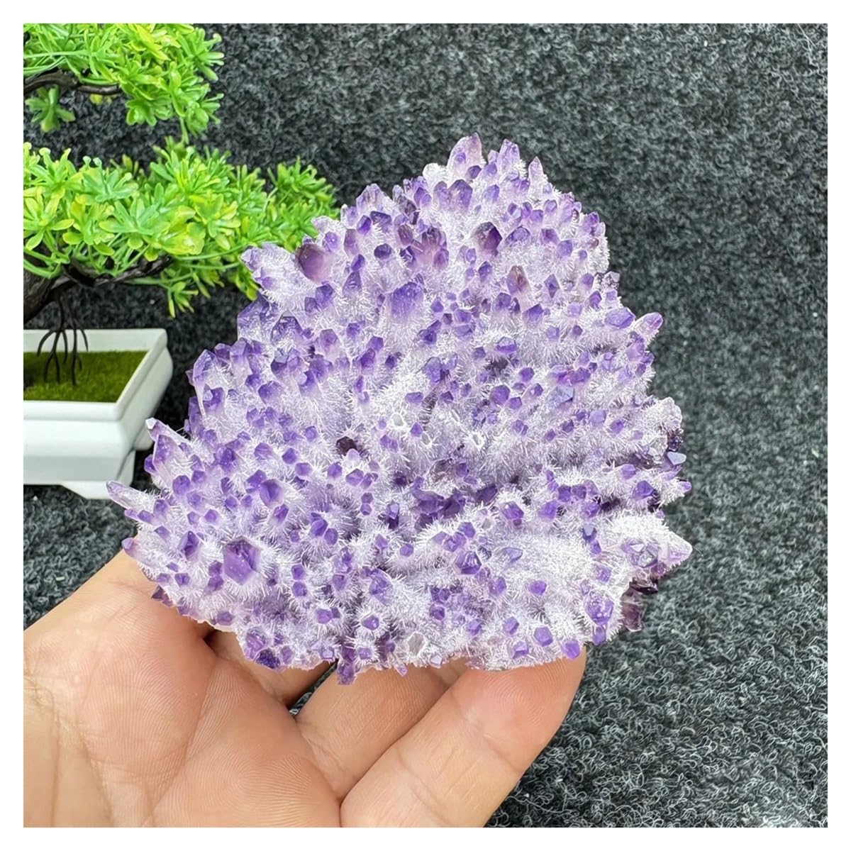 Grappe d'améthyste naturelle de 366g pour décoration d'intérieur en pierre de cristal