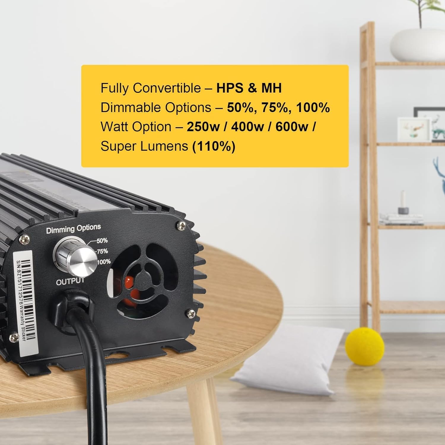 Dimmable options knob on iPower ballast