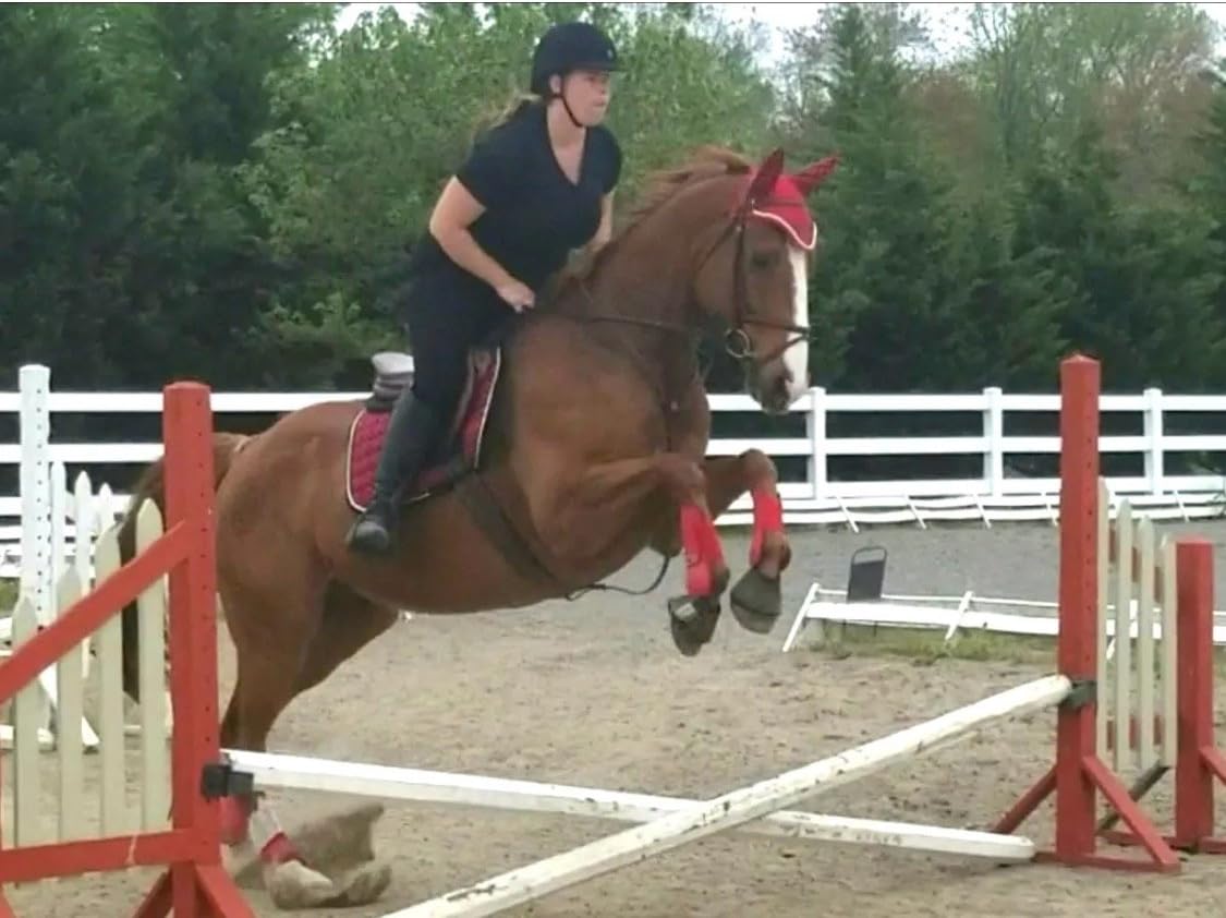 New Horse English Saddle Pad Set Matching Fly Bonnet Veil Ear Net Polyester Hand Made Crochet Full Size Equestrian Shows Tack Y