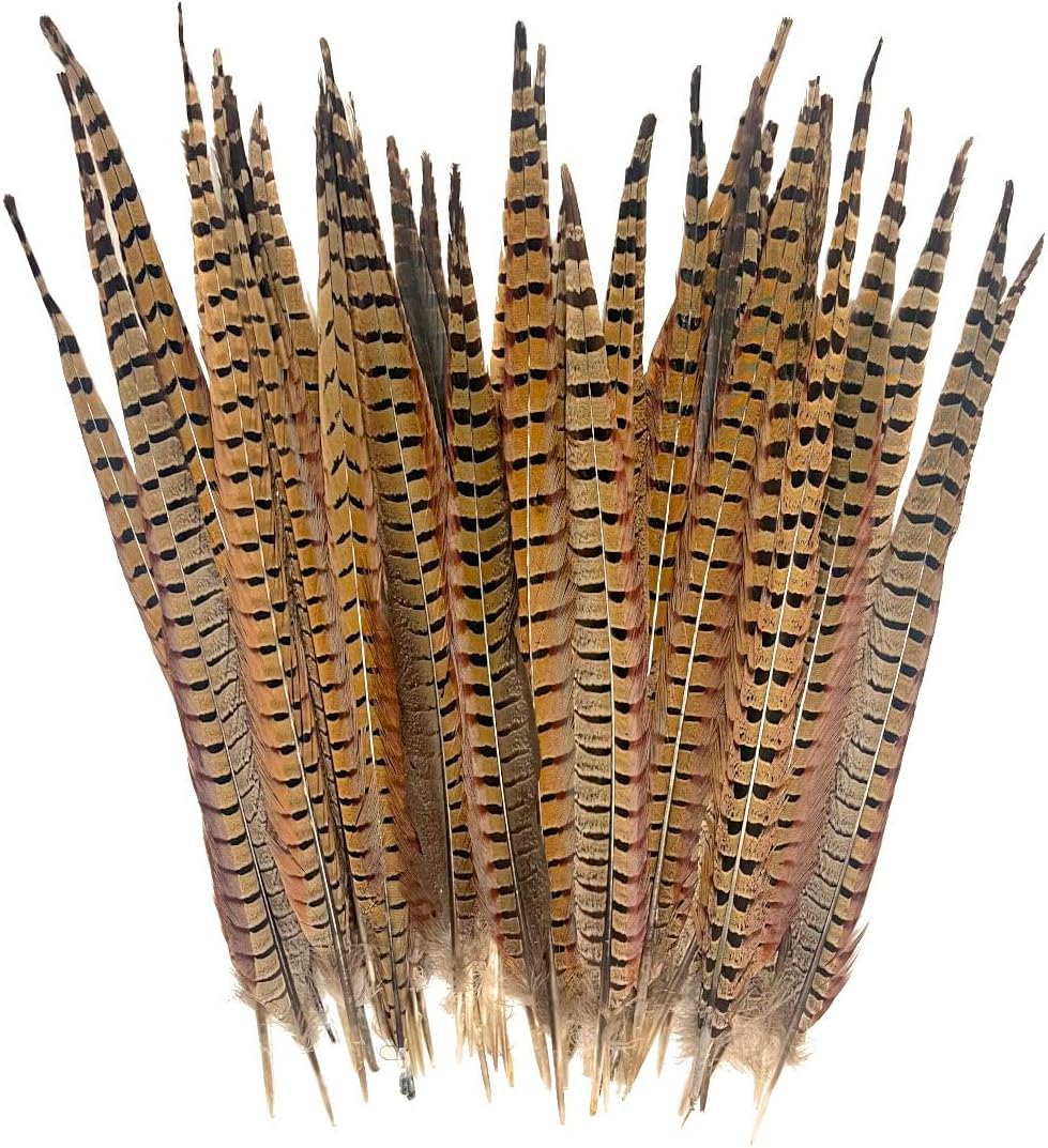 American Feathers Brand 16-20" Ringneck Pheasant Tail Feathers, 25 Count Pack