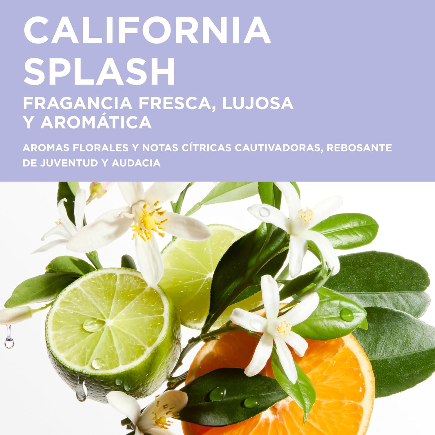 Kérastase Blond Absolu Bain Lumière Champú Recarga Pelo Rubio 500ml