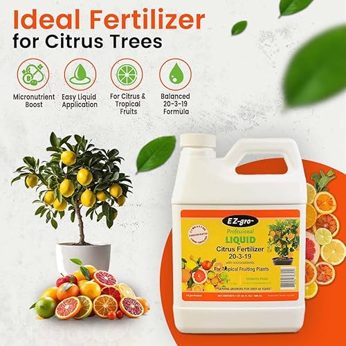 Miniatura 2 de Fertilizante para árboles de cítricos – naranja, limón, lima, mango, aguacate – Fertilizante cítrico para árboles de frutas tropicales para cultivar