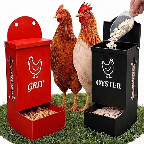 Premium Metal2 Packs Oyster Shell Feeder for Chicken with Lid