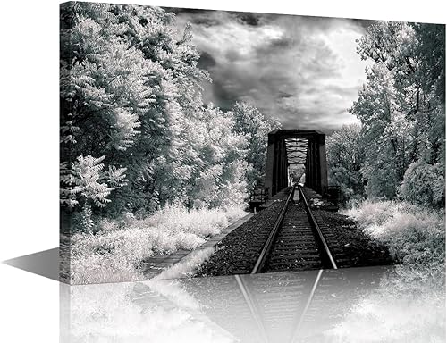 Vista 146 de 1 lienzo decorativo para pared, ferrocarril a través del bosque de pinos con niebla, decoración moderna para el hogar, sala de estar, arte de pared