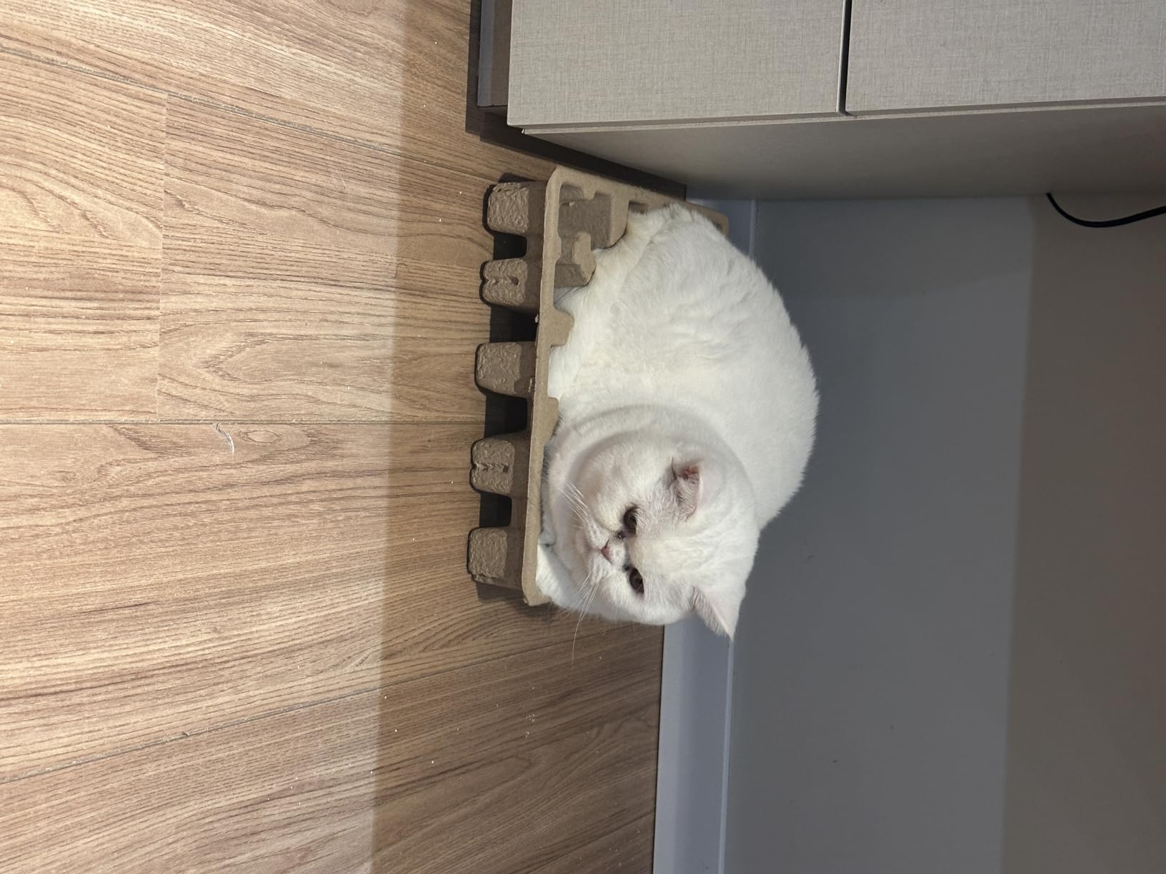 Foto cliente 4