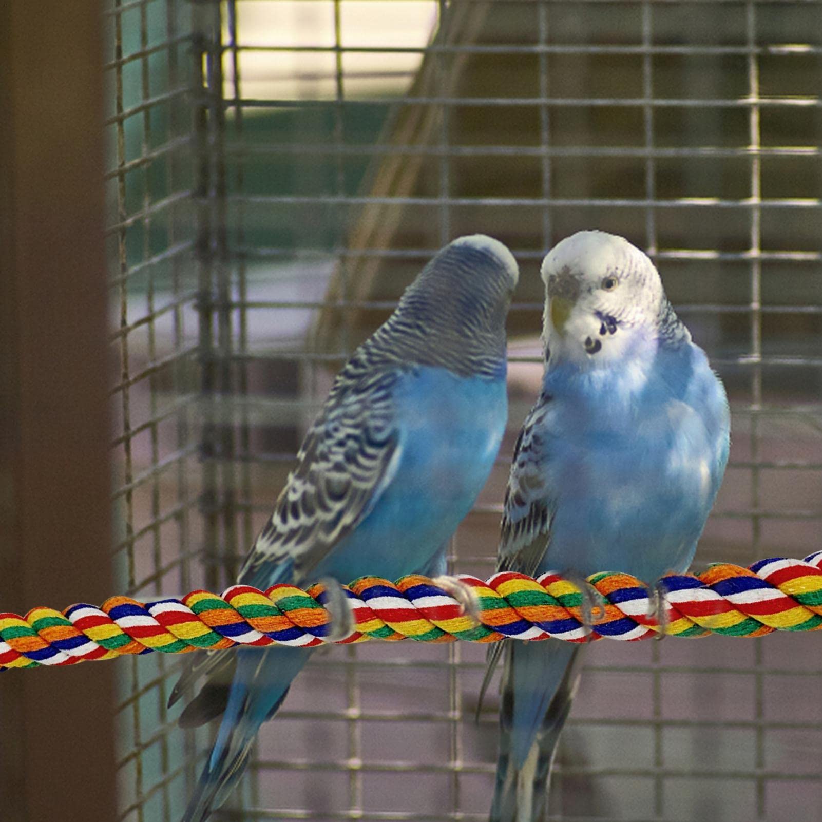 BELLIFFY Papageien Kletternetz 50x40cm - Robuste Seilleiter Für Vögel Mit Karabiner