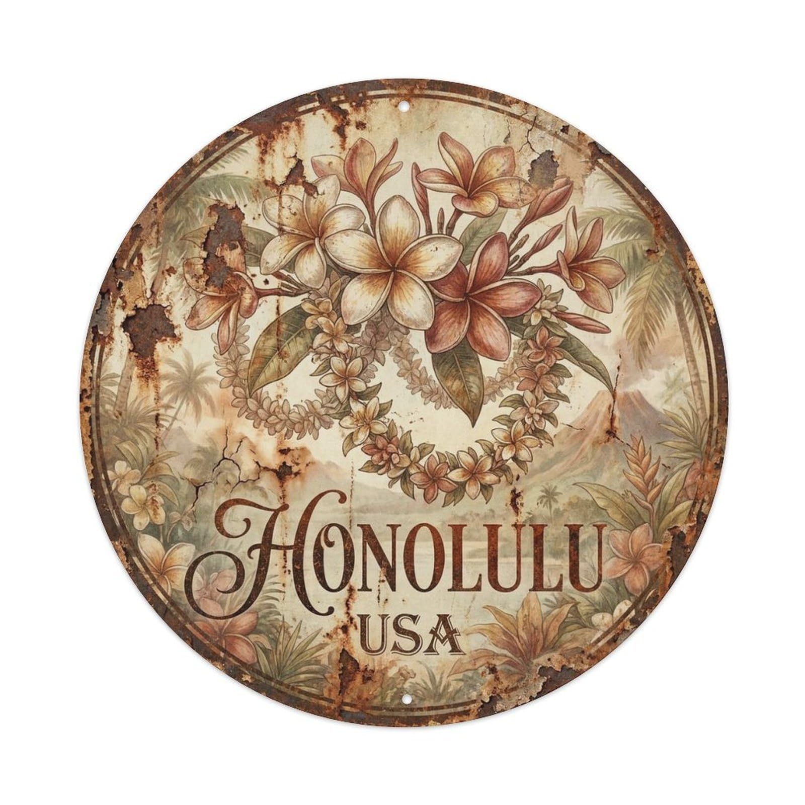 Honolulu Hawaii Historic Travel Landmark City Metal Tin Sign