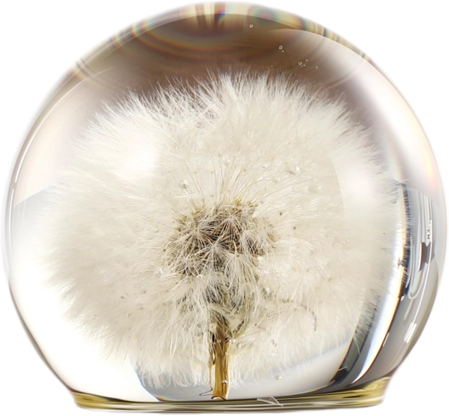 Real Dandelion Paperweight, 3.1" Crystal Flower Resin Sphere, 80mm Clear Desk Decorative Paperweight with Flat Base, Preserved Dandelion Globe for Office Desk Decor, Unique Present