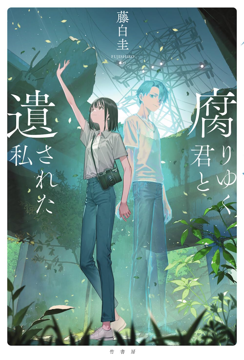 Amazon.co.jp: 腐りゆく君と遺された私 : 藤白圭: 本