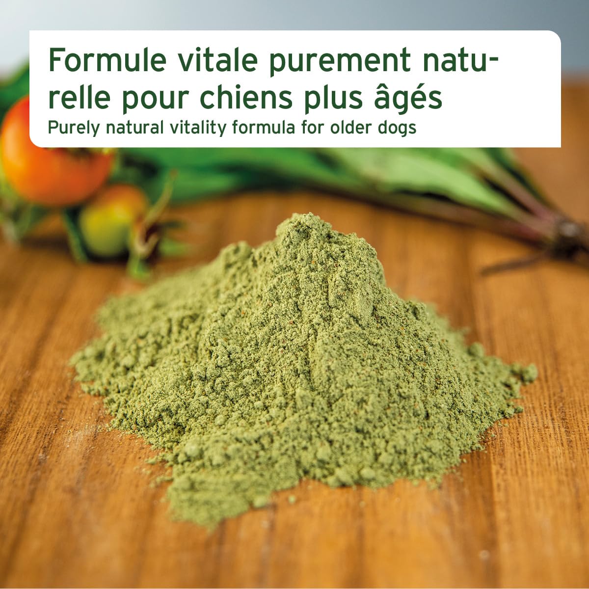 AniForte Senior Active - Minéraux et vitamines pour Les Chiens Senior, soutient la mémoire et la Fonction Cardiaque (250g)