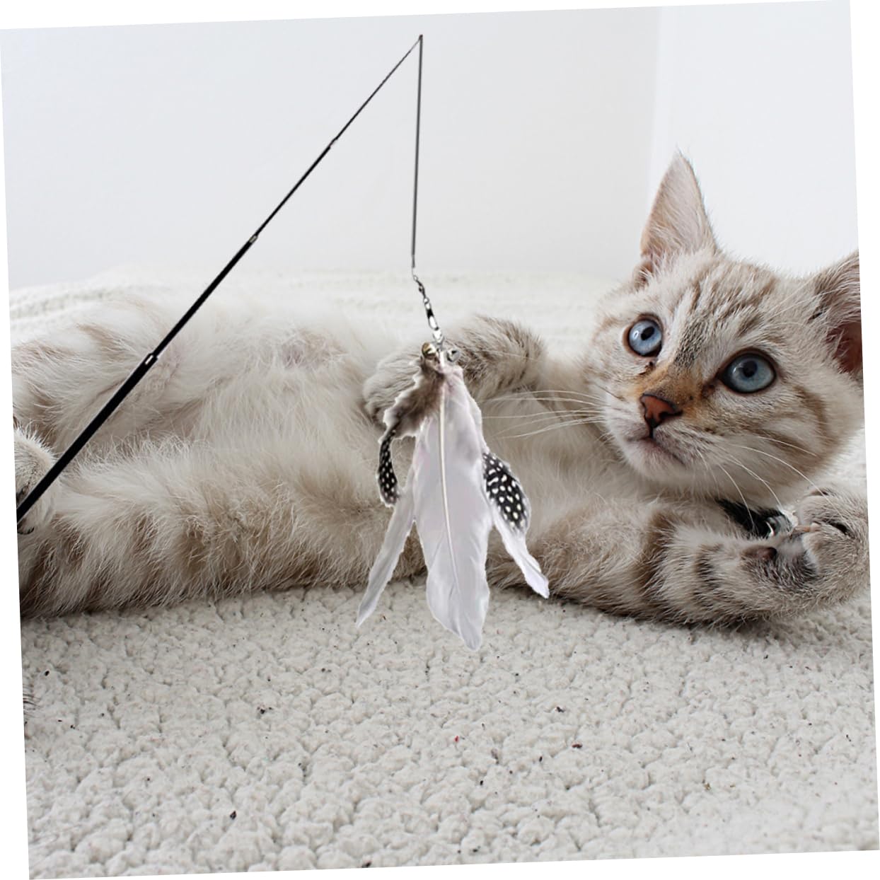 DOITOOL 8piezas Varita Interactiva para Gatos De Coloridas Juguete Telescópico para Estimulación y Diversión De Mascotas