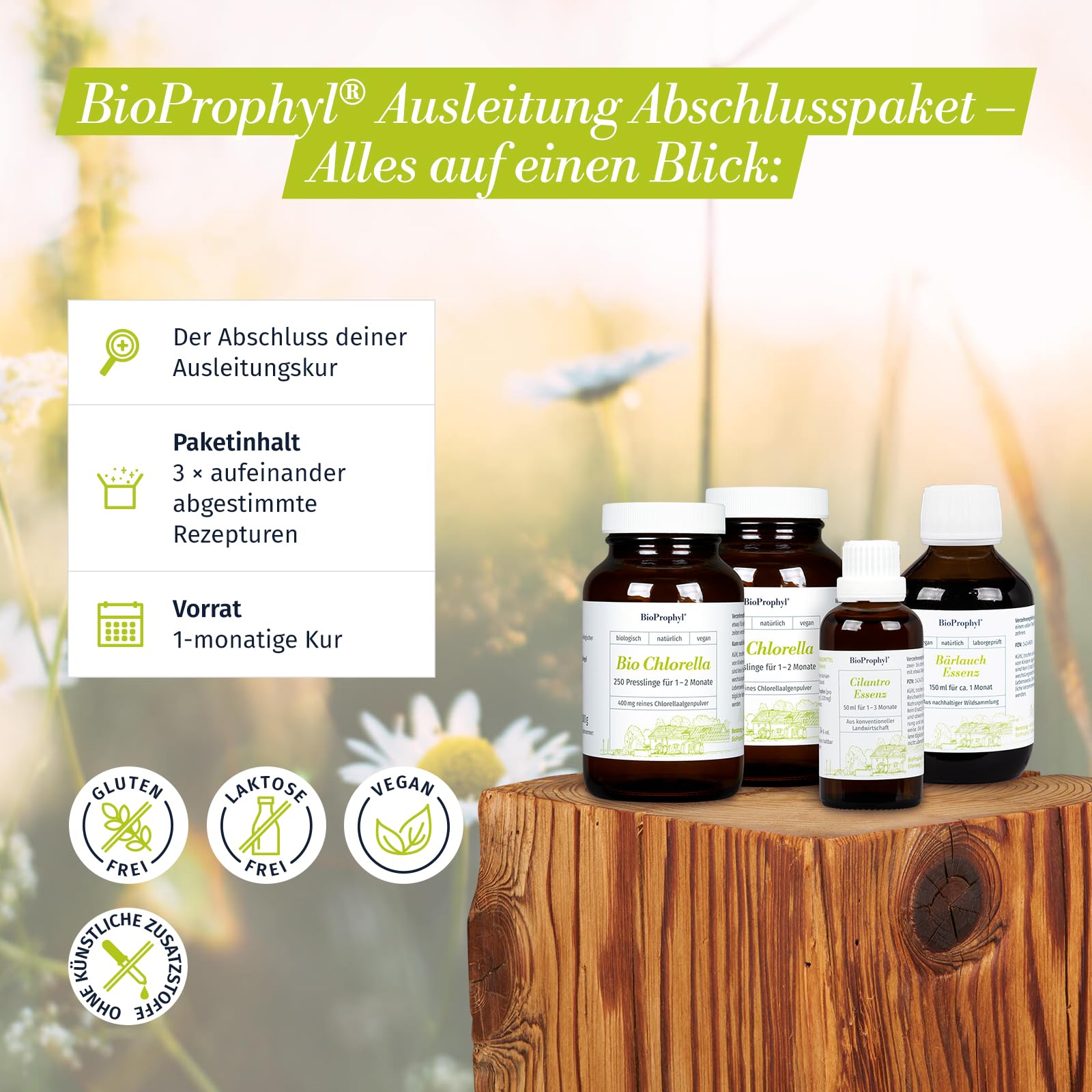Ausleitung Abschlusspaket - 1x BIO Chlorella 500 + 1x Bärlauch-Essenz + 1x Cilantro-Essenz - rein natürlich ohne Zusätze - für 1 Monat zum Abschluss der Ausleitungskur nach Dr. Klinghardt