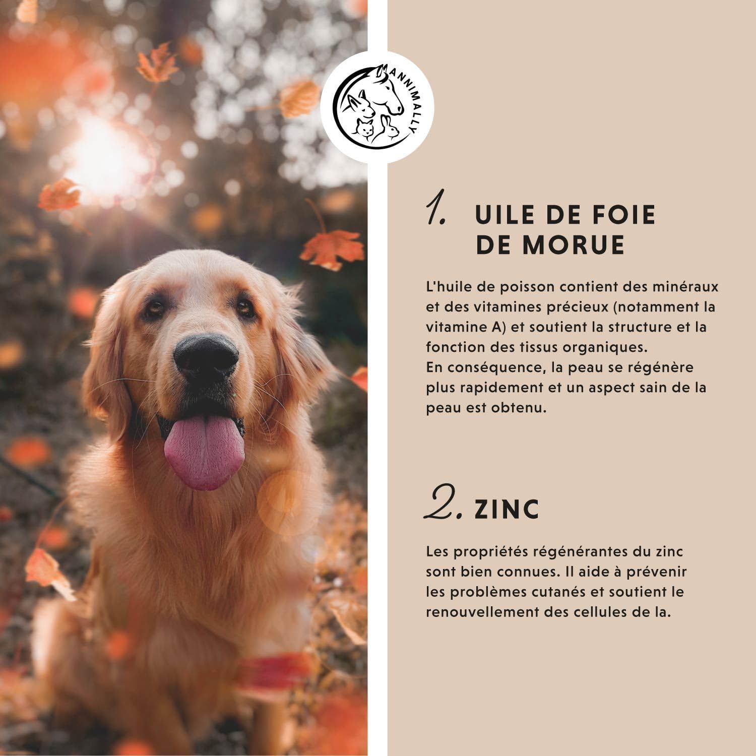 Pommade au Foie de morue et au Zinc pour Chiens 50g - Pommade pour blessures, eczéma et escarres - Baume pour Chiens, Chats, Chevaux et Petits Animaux avec du Zinc, de l'huile de Foie de morue