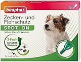 beaphar - Zecken- Und Flohschutz Spot-ON Für Kleine Hunde Bis 15kg - Repellent Gegen Flöhe, Zecken Und Mücken - Sofortige Wirkung - Schutz Bis Zu 12 Wochen - 3 Pipetten Je 1 ml Bis 15 kg