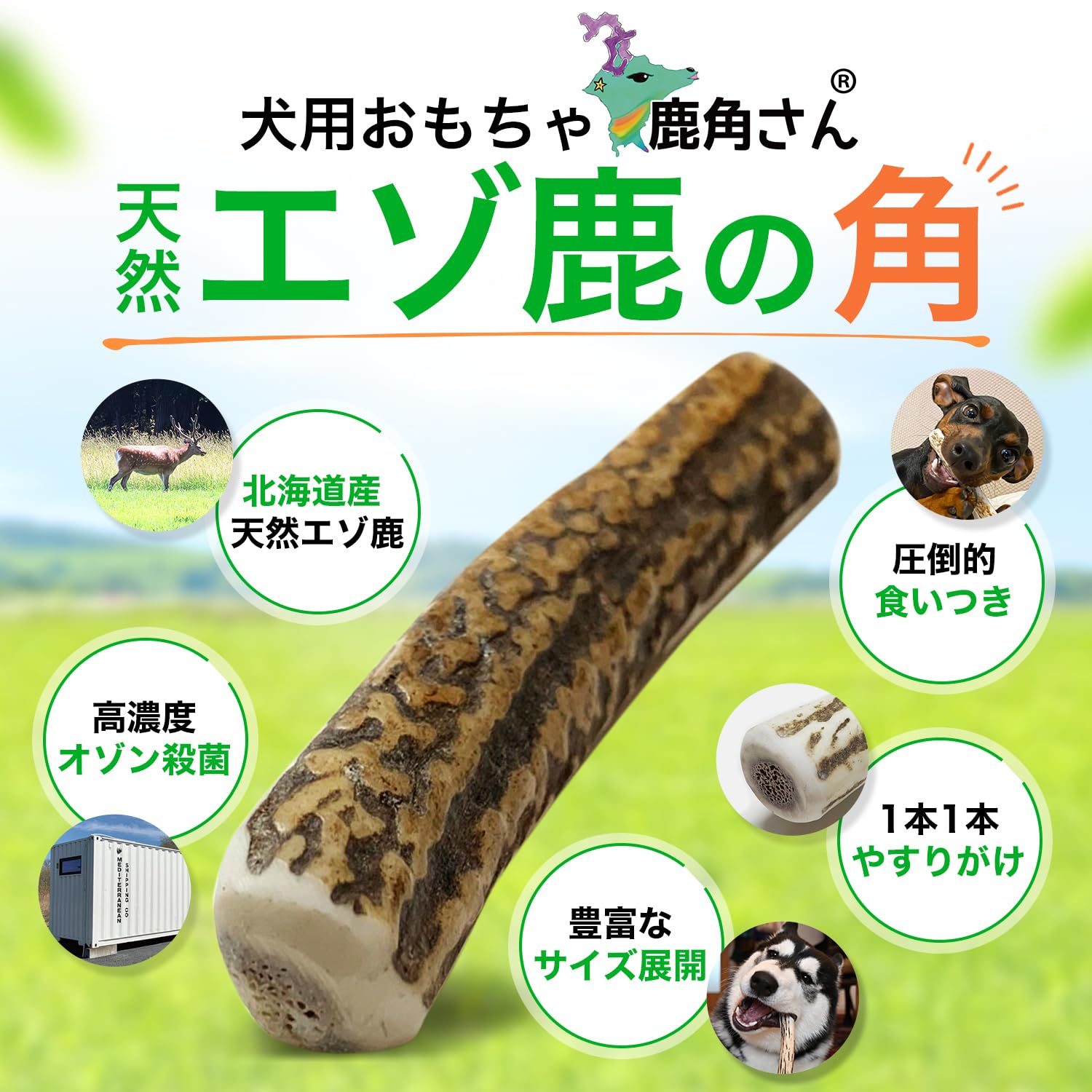 Amazon | 鹿角さん 鹿の角 犬 用 おもちゃ 小型犬用 四つ割り 1本
