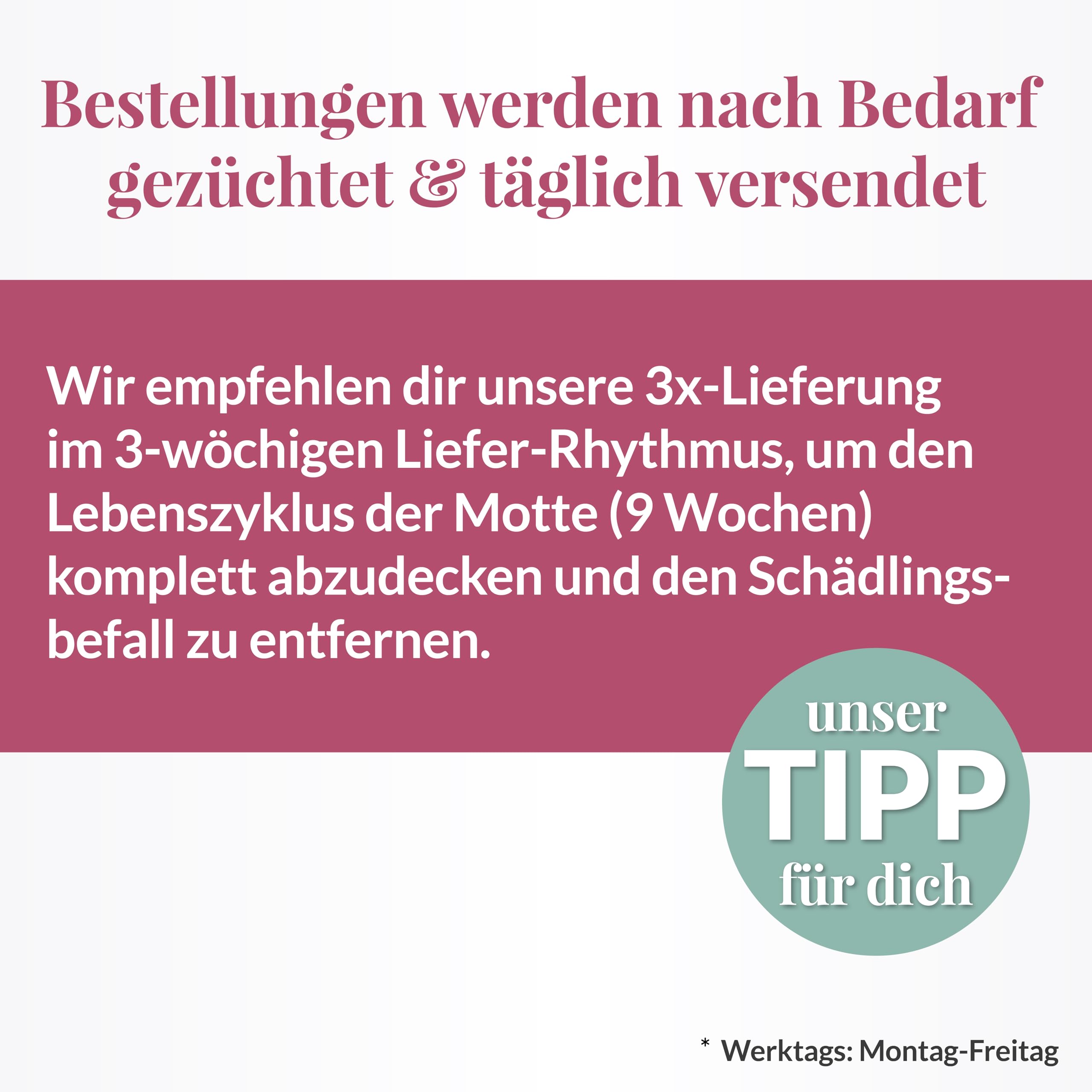 Hey Nature Schlupfwespen gegen Lebensmittelmotten - 20 Karten Einzelkauf | Effektiv & natürlich Lebensmittel Motten bekämpfen | 3.000 Nützlinge pro Karte | Zucht & Beratung aus Deutschland