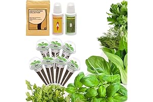 Basil, Cilantro, Seed & Pod Kit for AeroGarden Hydroponics