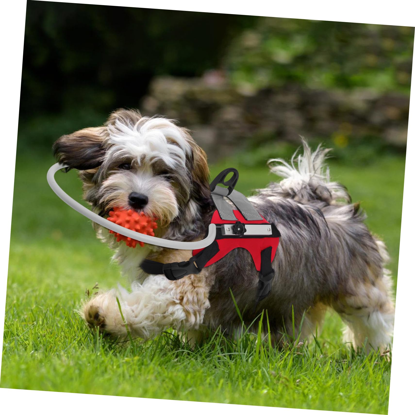 Abaodam Collier de Navigation pour Chien Aveugle Rouge Réglable | Protection les Obstacles, Design Confortable et Facile à Utiliser, pour Chien Malvoyant