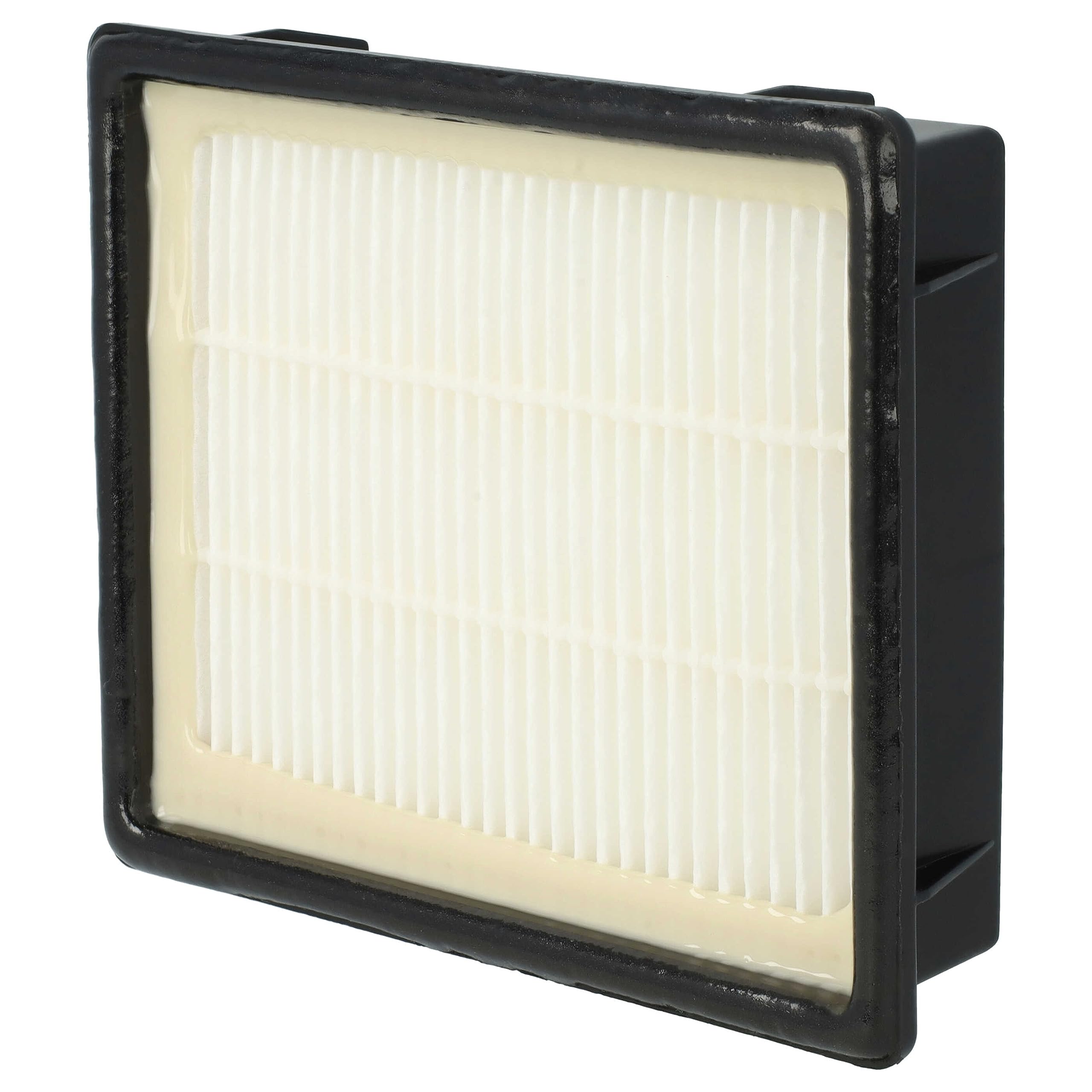 Filtro sostituisce AEG AEF 139 per aspirapolvere - filtro HEPA
