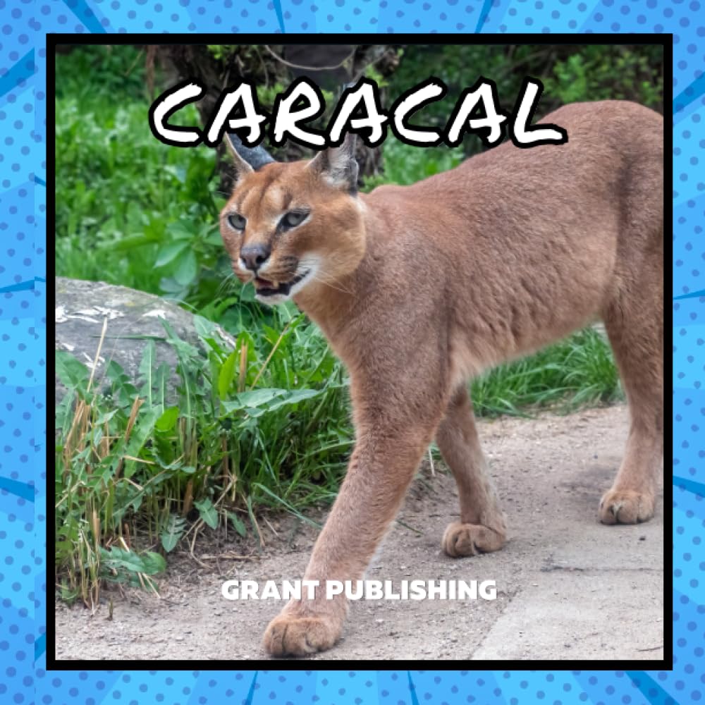 Caracal: Wildlife Books for Kids (Wildlife book for young children)