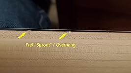 Review Image by Matt Pollock