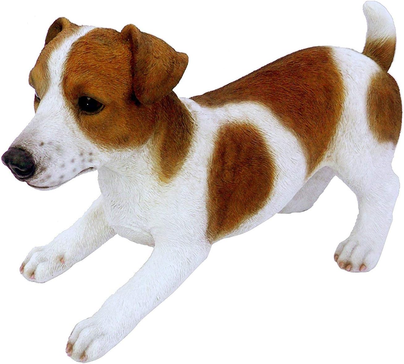 Real Life Medium Jack Russell Dog Garden Ornament (SizeD)