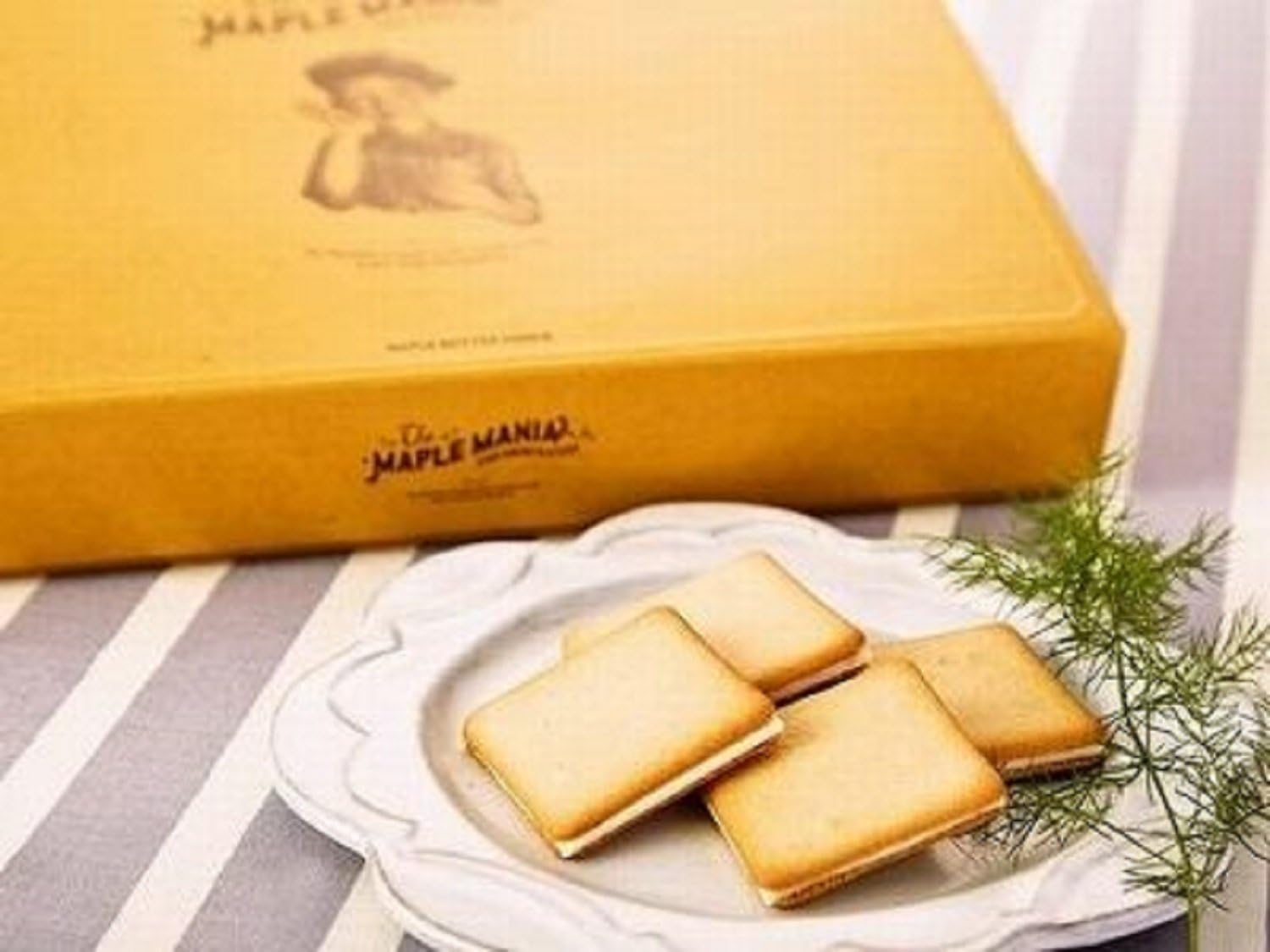 MAPLE MANIA Maple Butter Cookie Tokyo Souvenir Gift in Japan Omiyage a box in 9 pieces