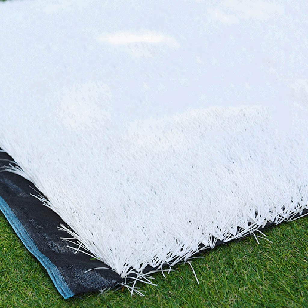 Amazon.co.jp: 人工芝、サッカースタジアム屋外白草約3cmホワイト模擬