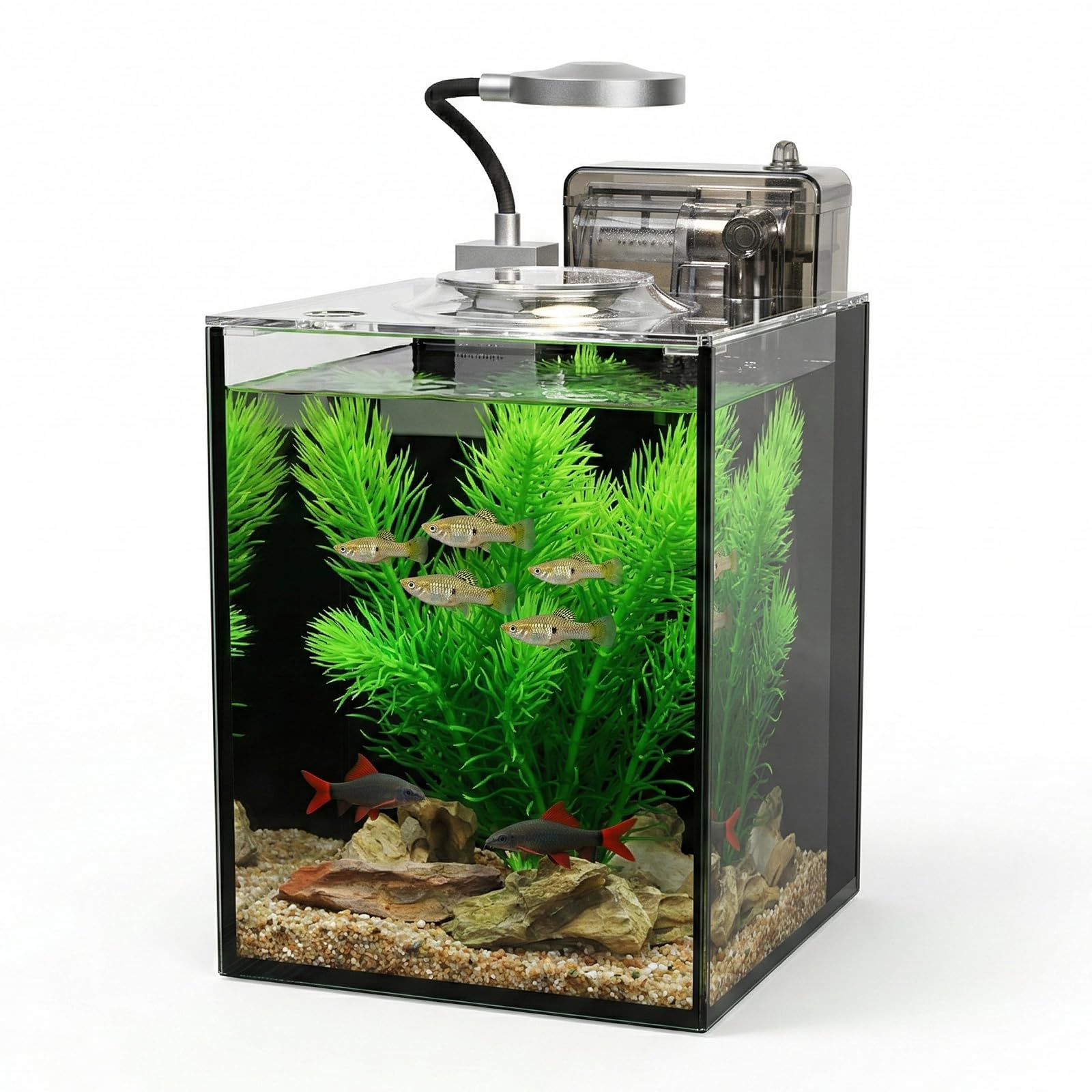 1.2 Gallon Small Aquarium Set Glass Fish Tank